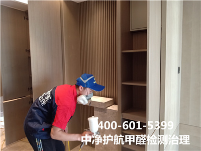 绿植除甲醛靠谱吗400-601-5399九游会在线大兴周边学堂幼儿园除甲醛